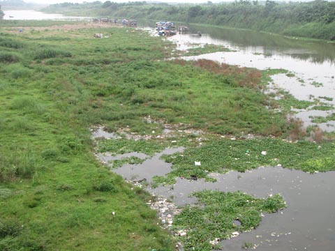 Hà Nội: Đất bãi ven sông Hồng đã thu hồi rồi bỏ ngỏ | ảnh 1